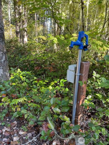 20 N Oxbow Place, Hoodsport, WA 98548