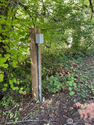 20 N Oxbow Place, Hoodsport, WA 98548