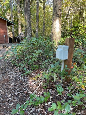 20 N Oxbow Place, Hoodsport, WA 98548