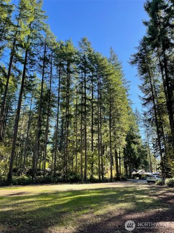 20 N Oxbow Place, Hoodsport, WA 98548