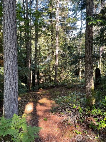 20 N Oxbow Place, Hoodsport, WA 98548