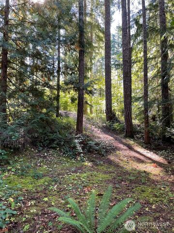 20 N Oxbow Place, Hoodsport, WA 98548