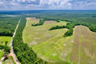 Lot 50 Mineral Springs Rd, Jay, FL 32565