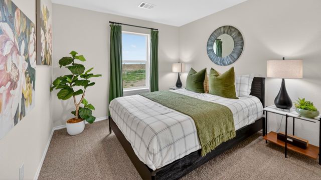 3514 Spring Time Street, Talty, TX 75126