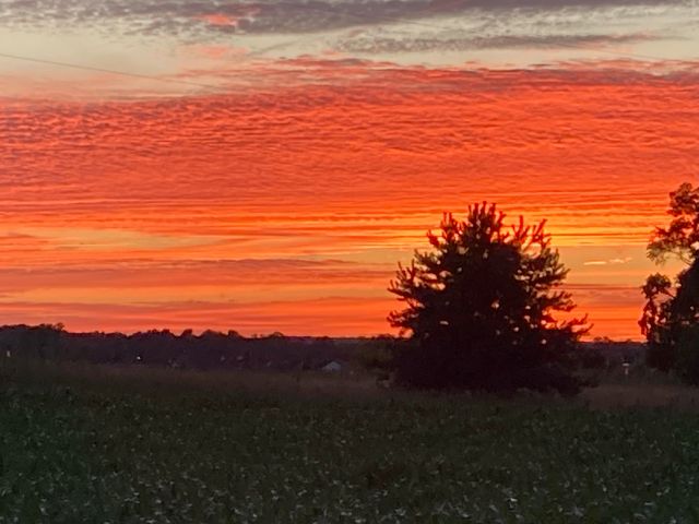 5363 Chickadee Drive NE, Belmont, MI 49306