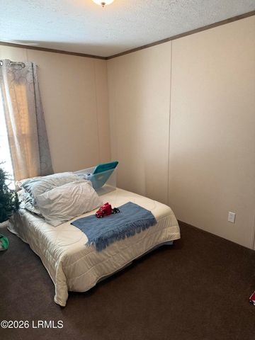 6204 Badham Drive, Reevesville, SC 29471