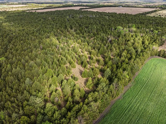 TBD FM 198, Cooper, TX 75432