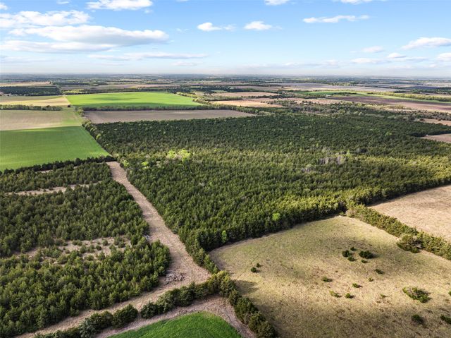 TBD FM 198, Cooper, TX 75432