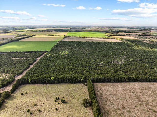 TBD FM 198, Cooper, TX 75432