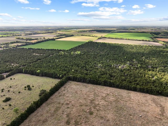 TBD FM 198, Cooper, TX 75432