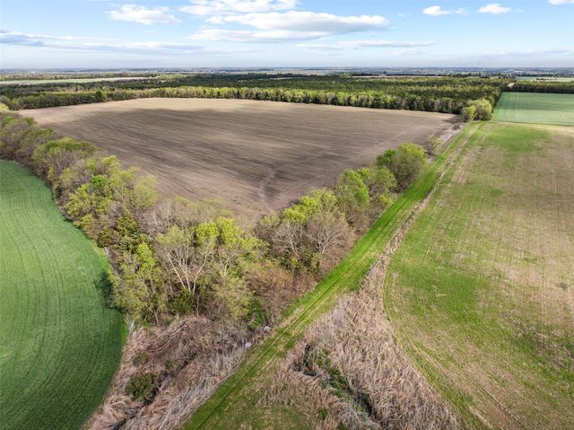 TBD FM 198, Cooper, TX 75432