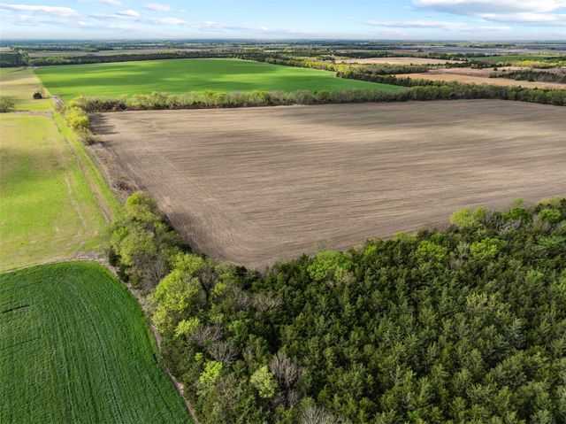 TBD FM 198, Cooper, TX 75432