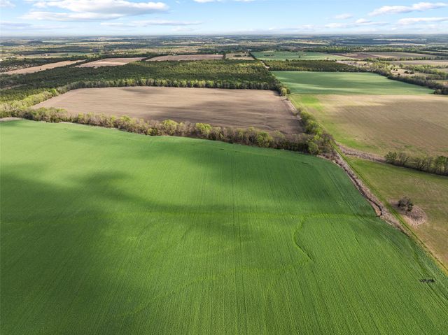 TBD FM 198, Cooper, TX 75432