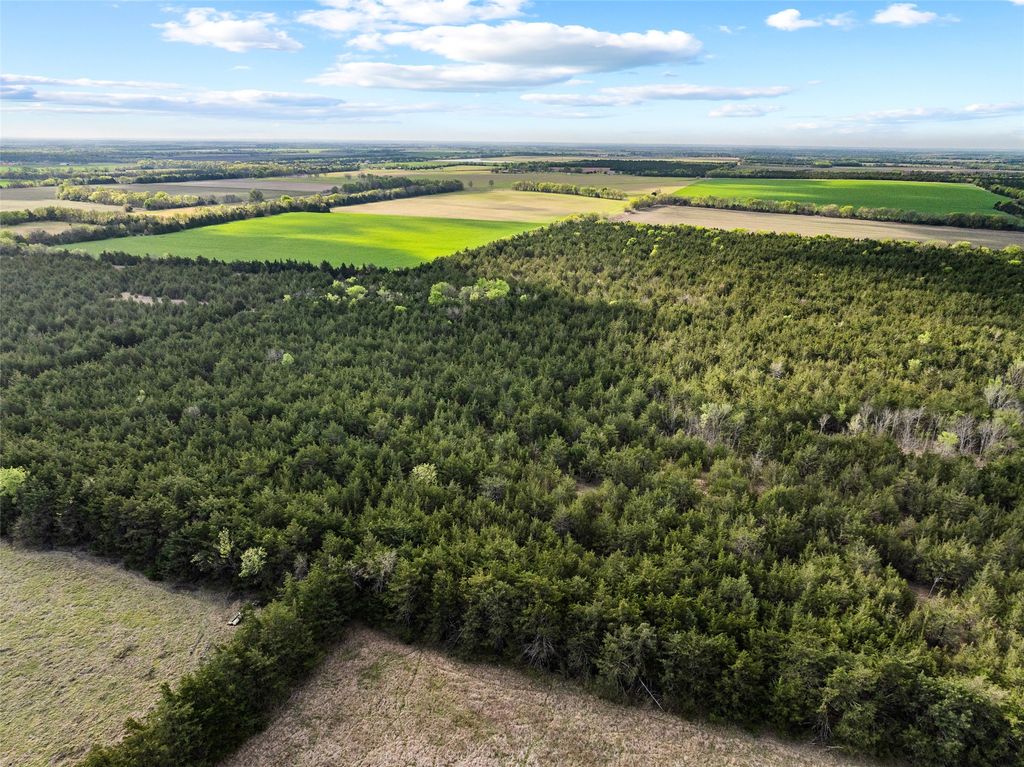 TBD FM 198, Cooper, TX 75432