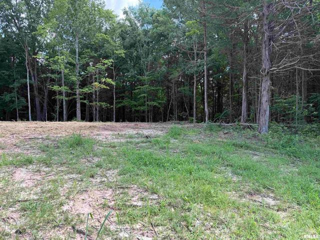 Lot 305 Pecan Point, Goreville, IL 62939