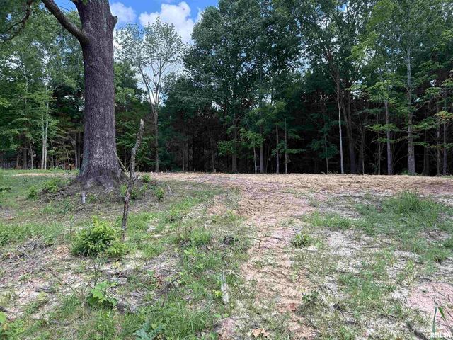 Lot 305 Pecan Point, Goreville, IL 62939