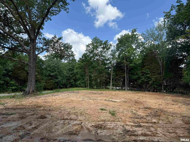 Lot 305 Pecan Point, Goreville, IL 62939