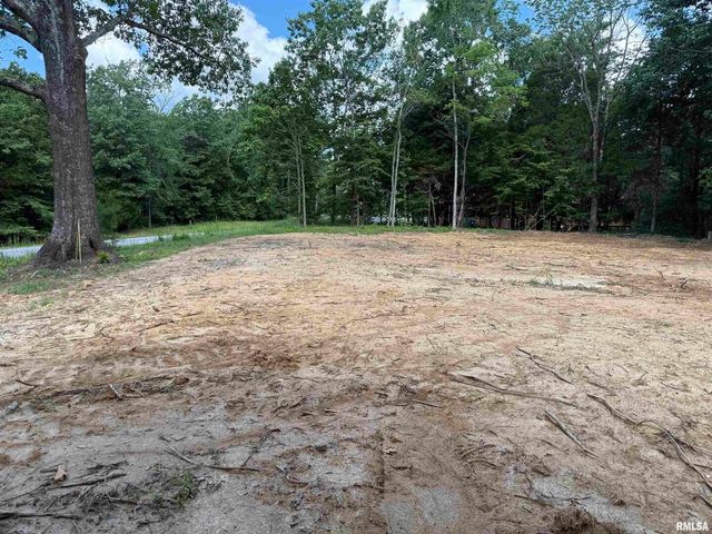 Lot 305 Pecan Point, Goreville, IL 62939