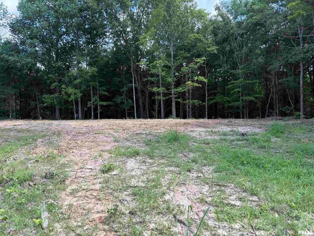 Lot 305 Pecan Point, Goreville, IL 62939