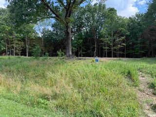 Lot 305 Pecan Point, Goreville, IL 62939