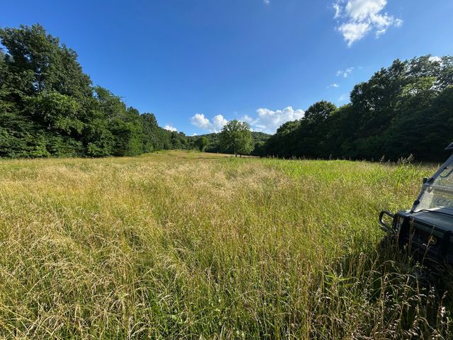 9 millersburg rd, Christiana, TN 37037