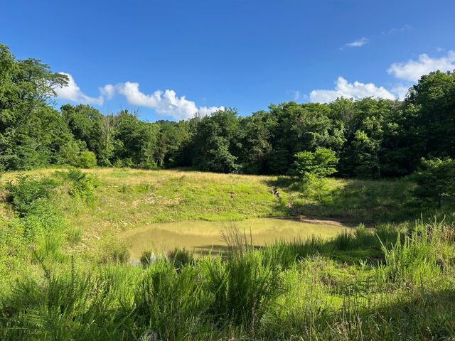 9 millersburg rd, Christiana, TN 37037