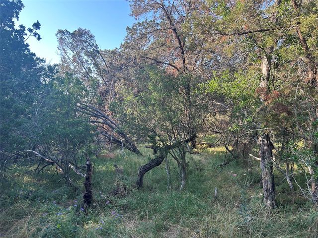 20804 Hawthorne CV, Lago Vista, TX 78645
