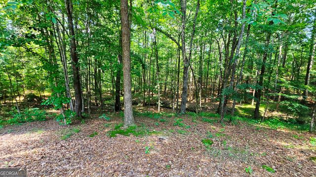 43 Ivy Mist Lane, Acworth, GA 30101