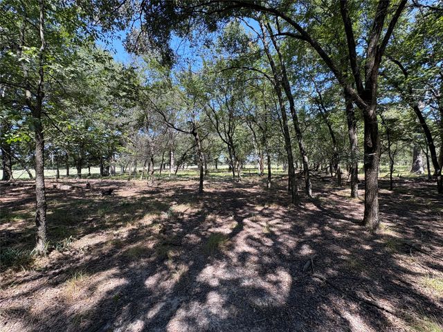 TBD County Road 1168 3, Brashear, TX 75420