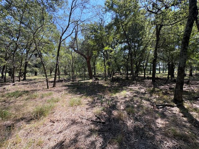 TBD County Road 1168 3, Brashear, TX 75420