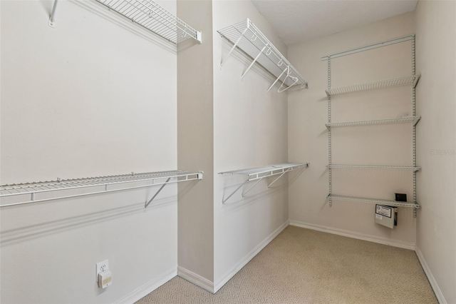 4789 WHISPERING WIND AVENUE, Tampa, FL 33614