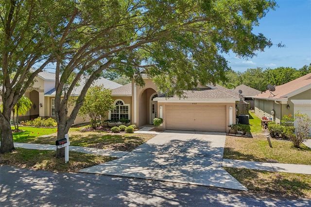 4789 WHISPERING WIND AVENUE, Tampa, FL 33614