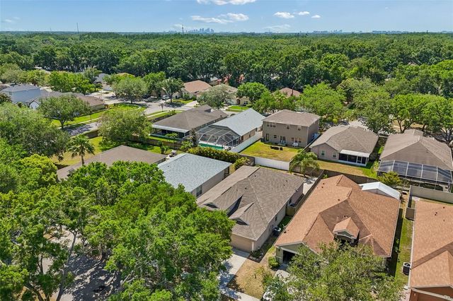 4789 WHISPERING WIND AVENUE, Tampa, FL 33614