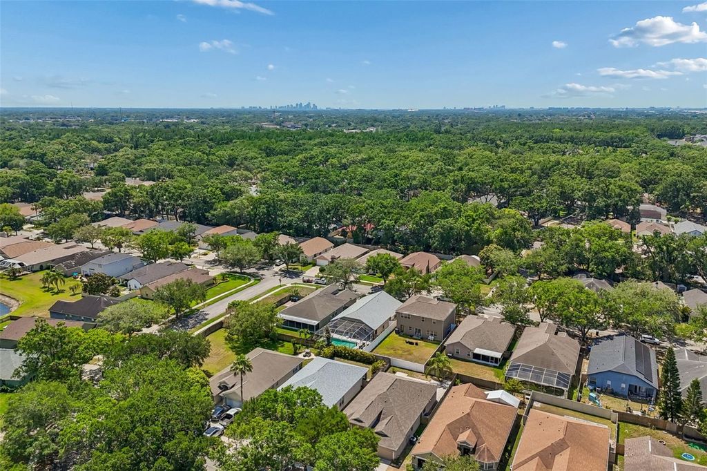Image 96 of property listing at 4789 WHISPERING WIND AVENUE, Tampa, FL 33614