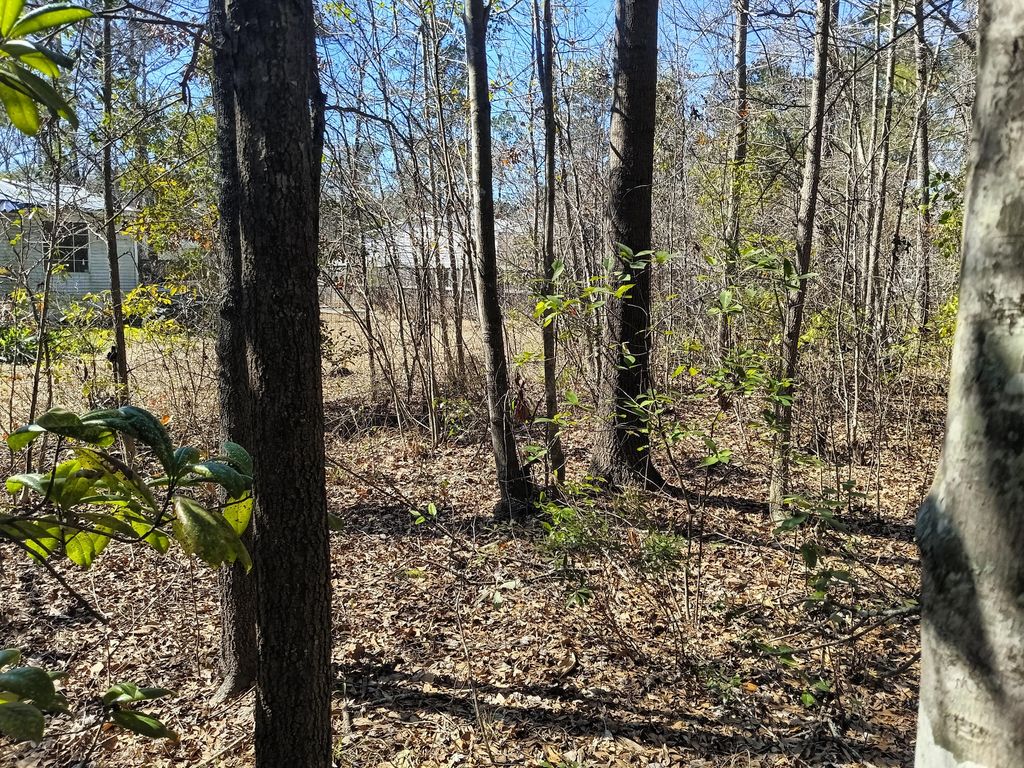 Image 10 of property listing at 125 Knight Avenue, Summerville, SC 29483