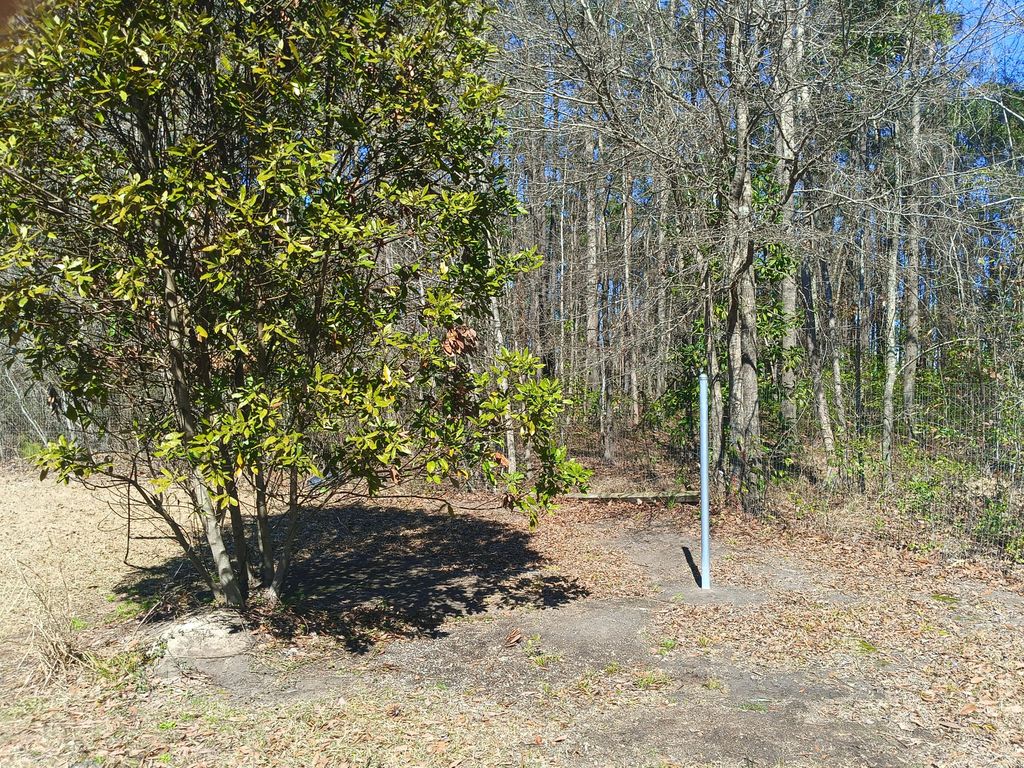 Image 5 of property listing at 125 Knight Avenue, Summerville, SC 29483