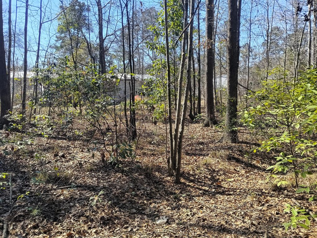 Image 8 of property listing at 125 Knight Avenue, Summerville, SC 29483