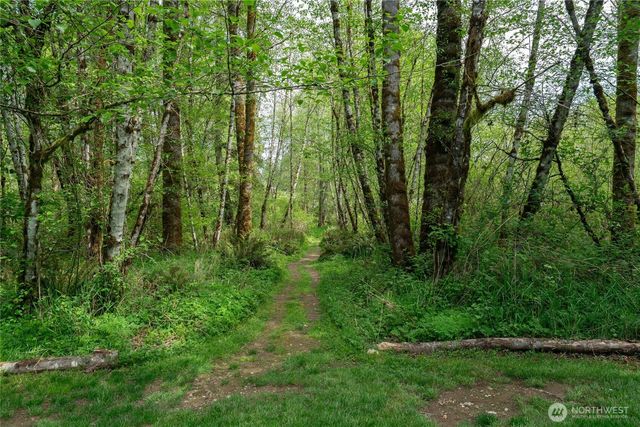 6031 139th Lane SW, Rochester, WA 98579
