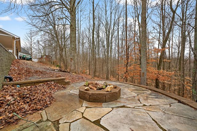 125 Shiloh Ln, Smithville, TN 37166