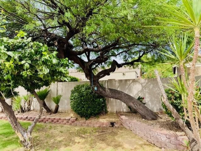 7798 E Buteo Drive, Scottsdale, AZ 85255