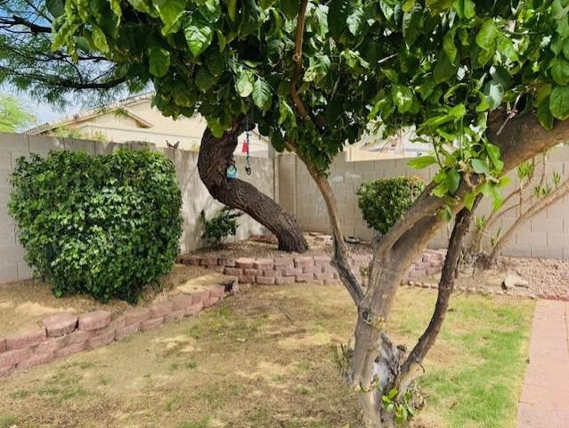 7798 E Buteo Drive, Scottsdale, AZ 85255