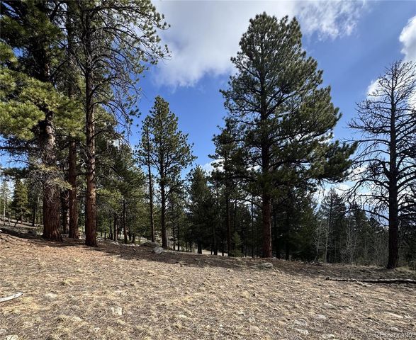 30317 Aspen Turn, Buena Vista, CO 81211