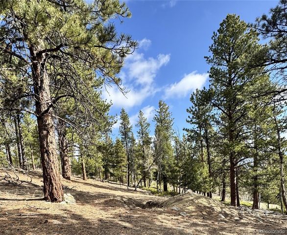 30317 Aspen Turn, Buena Vista, CO 81211