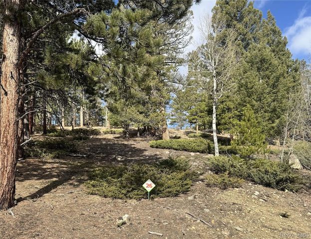 30317 Aspen Turn, Buena Vista, CO 81211