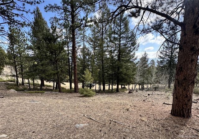30317 Aspen Turn, Buena Vista, CO 81211