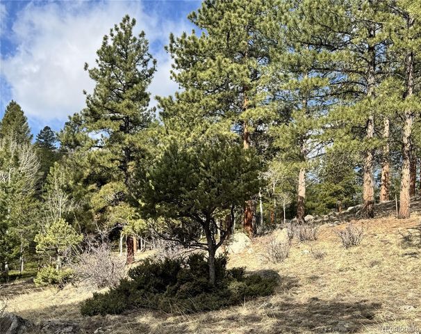 30317 Aspen Turn, Buena Vista, CO 81211