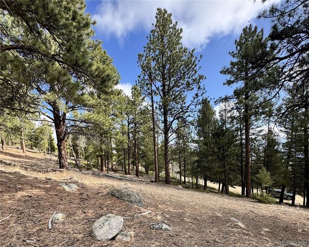 30317 Aspen Turn, Buena Vista, CO 81211