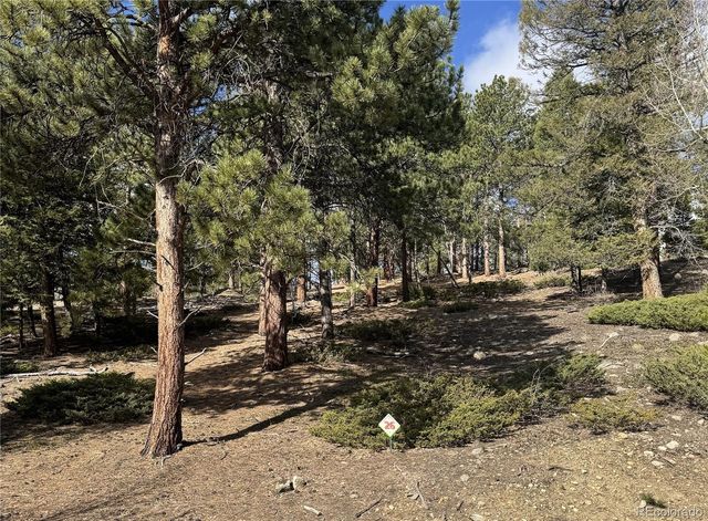 30317 Aspen Turn, Buena Vista, CO 81211