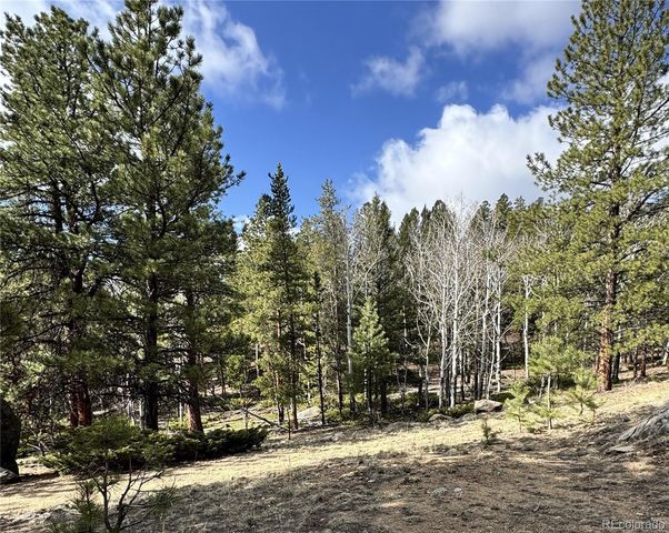 30317 Aspen Turn, Buena Vista, CO 81211