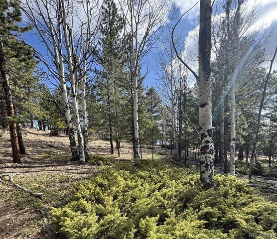 30317 Aspen Turn, Buena Vista, CO 81211